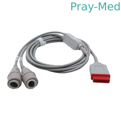 kopen GE Marquette IBP Adapter Kabel Dubbele Edwards Connector 2021197-003 3.2m Lengte online vervaardiging