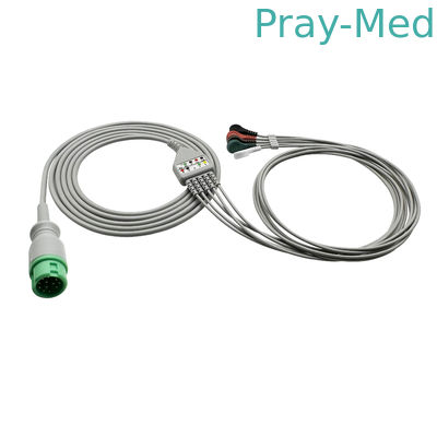 kopen Mindray / Edan / Goldway Ecg Trunk Cable met looddraad 12 pin snap 12 maanden garantie online vervaardiging