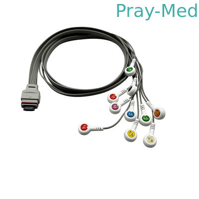 kopen Nihon Kohden Holter EKG-kabel 10 lead voor recorder RAC-2512 1m TPU jas online vervaardiging