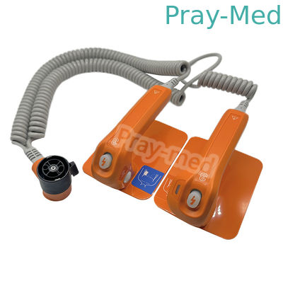 kopen Nihon Kohden Paddle ND-831V Voor TEC-5621K TEC-5631 Defibrillatoren Individuele verpakking online vervaardiging