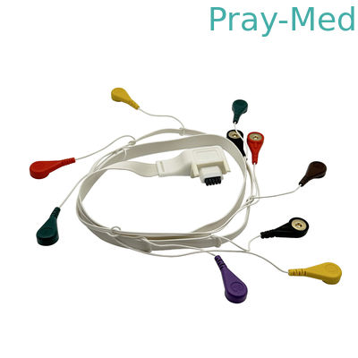 kopen 10 Lead Patient ECG Holter Cable voor Mortara T12 10PIN online vervaardiging