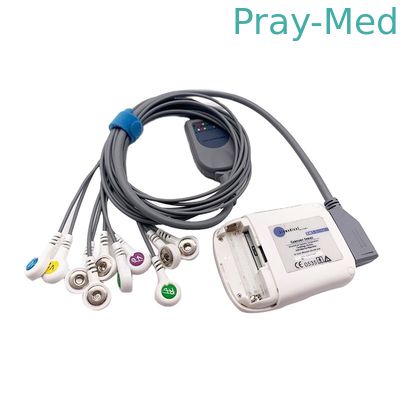 kopen Borsam Holter Ecg Cable 10 Lood Grijs 2m Compatibel systeem voor Bs6930 bs6930-3 online vervaardiging