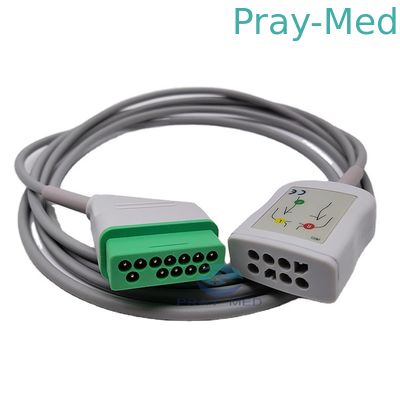 kopen Nihon Kohden 12 Speld 2.4m de Boomstamkabel van JC 906P ECG voor Volwassen Pediatrisch online vervaardiging