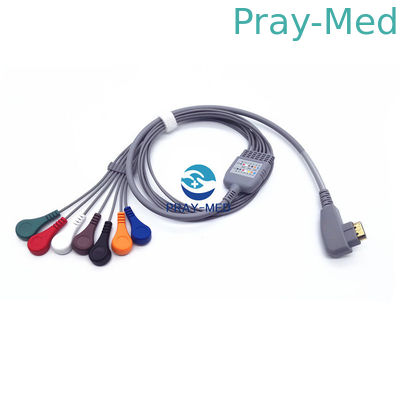 19 Speld Onverwachte ECG Geduldige Kabel 5/10 Lood DMS 300 de Compatibele Geduldige Veiligheid van Systeemholter